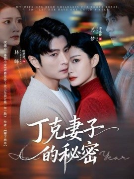 丁克妻子的秘密全集