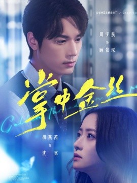 掌中金丝 长姐她竟是隐藏大佬全集