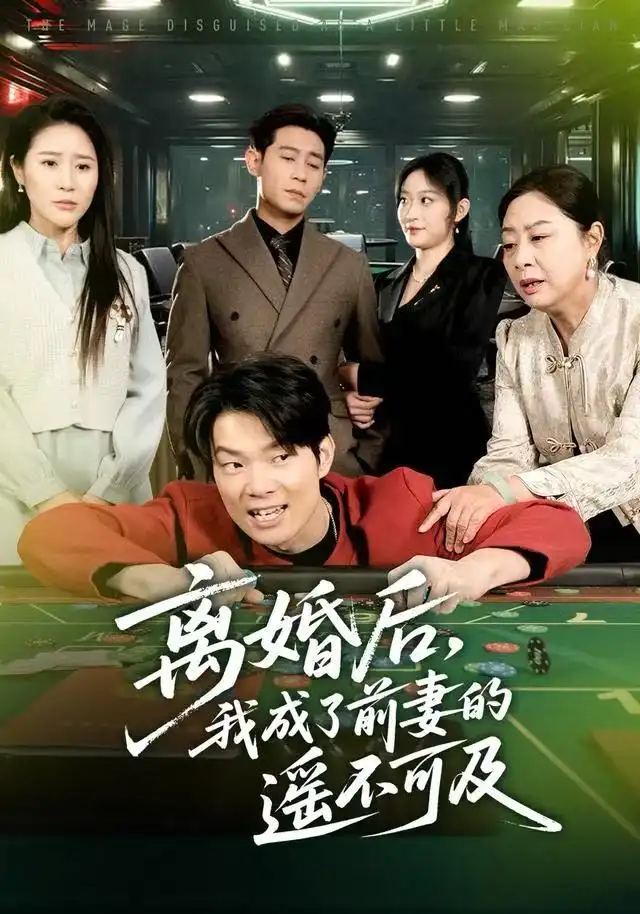 离婚后，我成了前妻的遥不可及全集