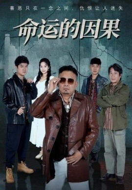 命运的因果全集