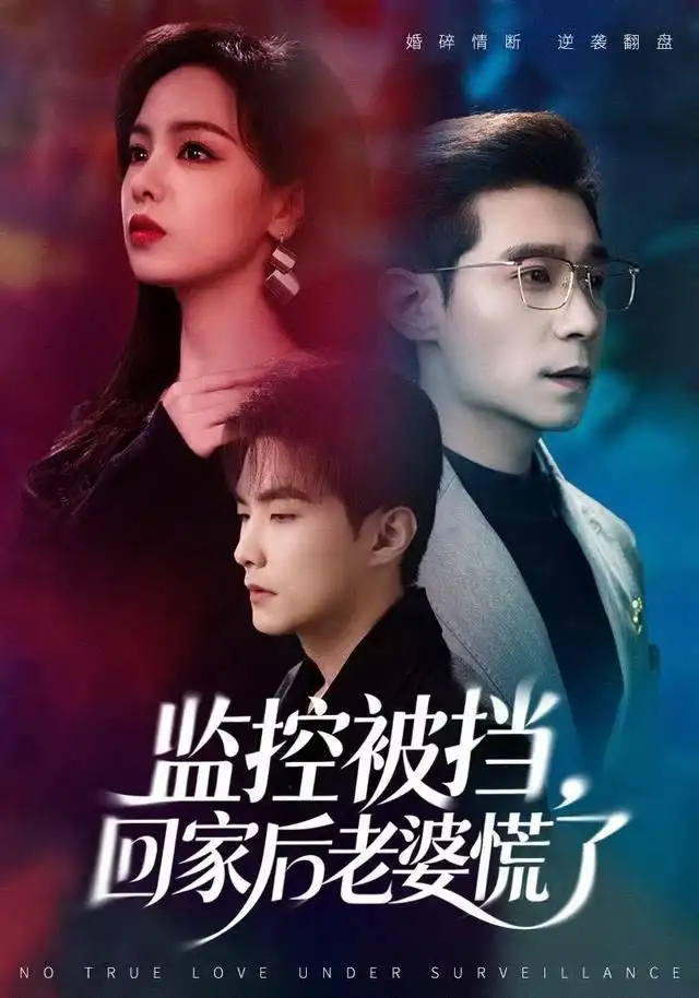 监控被挡，回家后老婆慌了全集