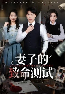 妻子的致命测试全集