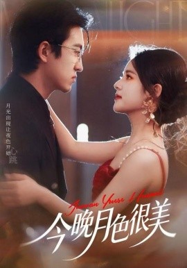 今晚月色很美全集
