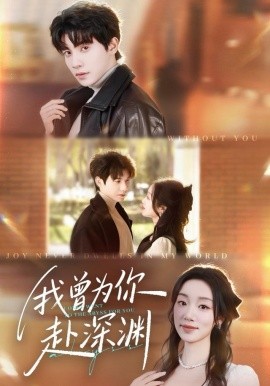 我曾为你赴深渊全集