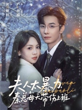 夫人太暴力，秦总每天带伤上班全集