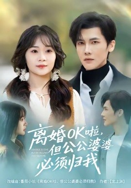 离婚ok啦，但公婆必须归我全集