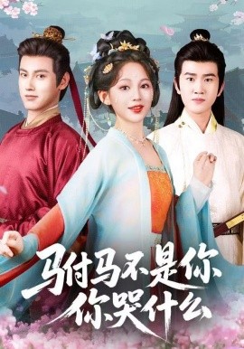 驸马不是你，你哭什么全集