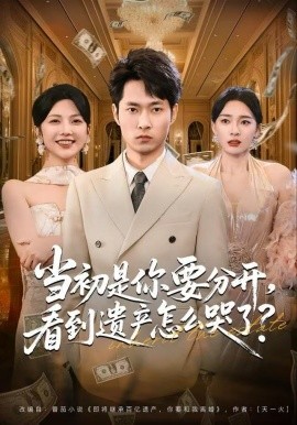 当初是你要分开，看到遗产怎么哭了？全集