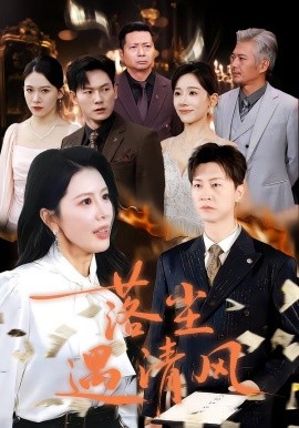 落尘遇清风 离婚而已全集