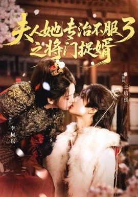 夫人她专治不服3之将门捉婿全集