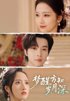 梦醒方知岁月深全集