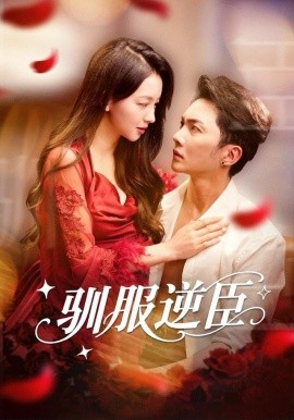 驯服逆臣全集