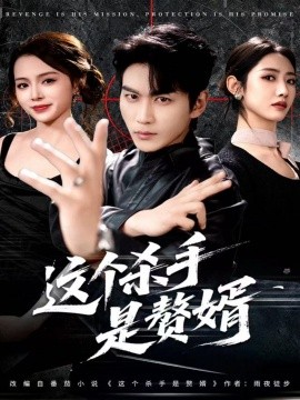 这个杀手是赘婿全集