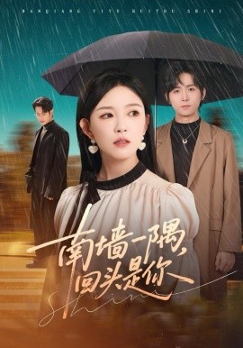 南墙一隅，回头是你全集