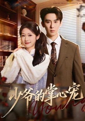 少爷的掌心宠全集