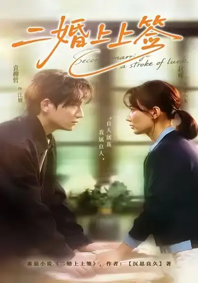 二婚上上签全集