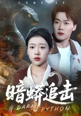 暗蟒追击全集
