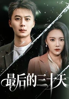 最后的三十天全集