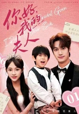 顾总，我才是你的夫人 你好，我的夫人全集