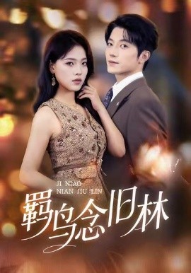 羁鸟念旧林全集