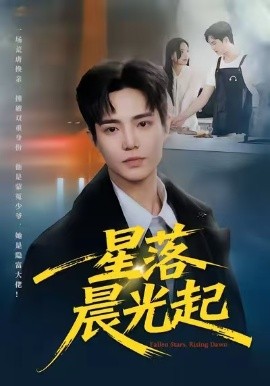 星落晨光起全集