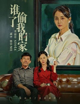 谁偷了我的家全集