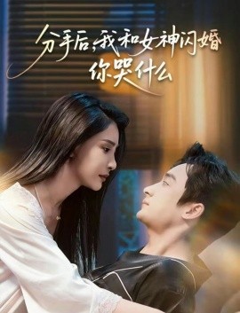 分手后，我和女神闪婚你哭什么 悲欢离合总无情全集