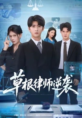草根律师逆袭全集