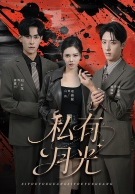 私有月光全集