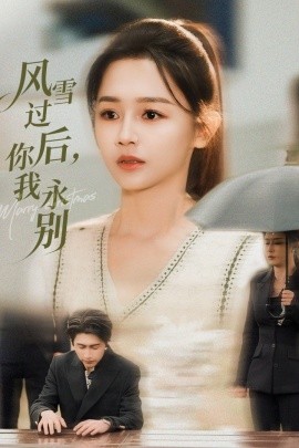风雪过后你我永别全集