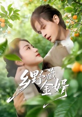 乡野藏金婿全集