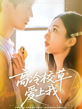 高冷校草爱上我全集
