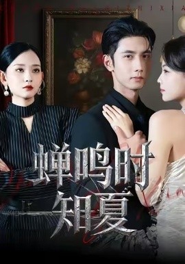 蝉鸣时知夏全集