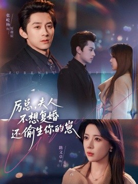 厉总，夫人不想复婚还偷生你的崽全集