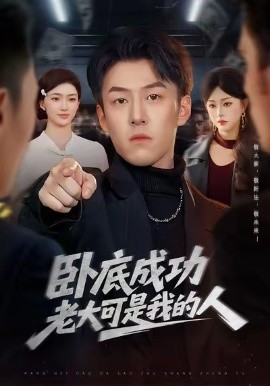 卧底成功老大可是我的人全集