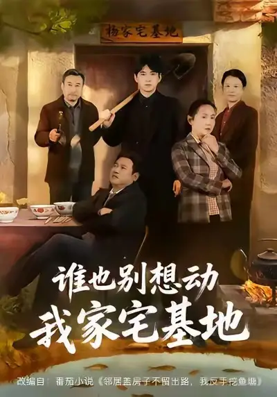 谁也别想动我家宅基地全集
