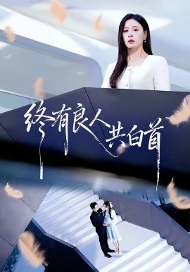 终有良人共白首全集