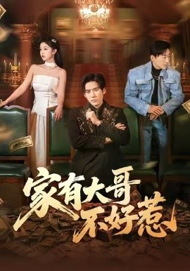 家有大哥不好惹全集