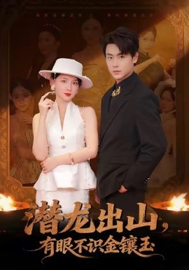 潜龙出山有眼不识金镶玉全集