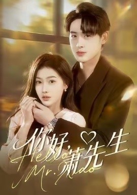 你好，萧先生全集