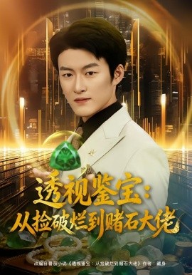 透视鉴宝：从捡破烂到赌石大佬全集