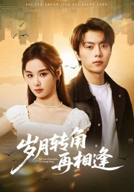 岁月转角再相逢全集