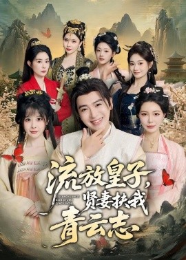 流放皇子，贤妻扶我青云志全集