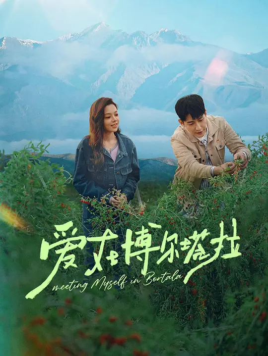 爱在博尔塔拉全集