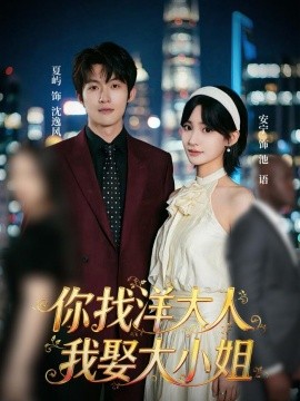 你找洋大人，我娶大小姐全集