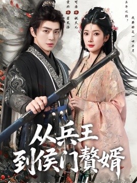 从兵王到侯门赘婿全集