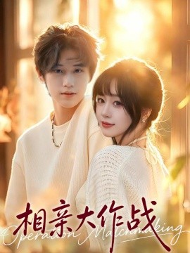 相亲大作战全集