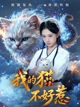 我的猫不好惹全集