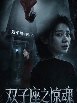 双子座之惊魂全集