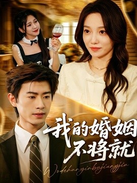 我的婚姻不将就全集